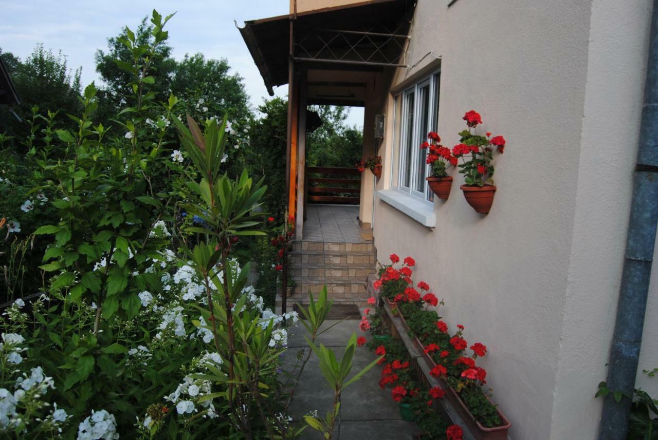 Appartement Casa Kelemen à Sovata Extérieur photo